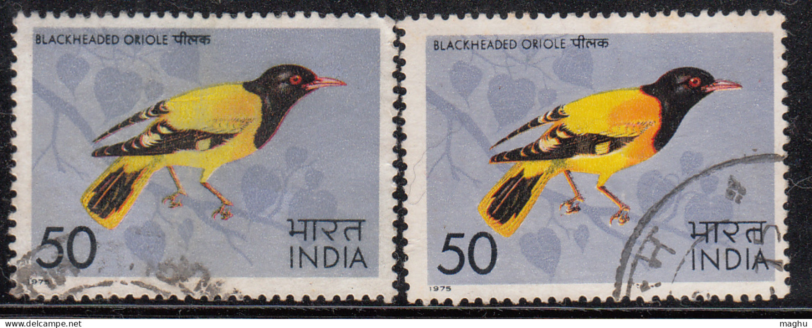EFO, Print Shift Variety, India Used 1975,  Headed Oriole, Bird, Birds, - Variétés Et Curiosités
