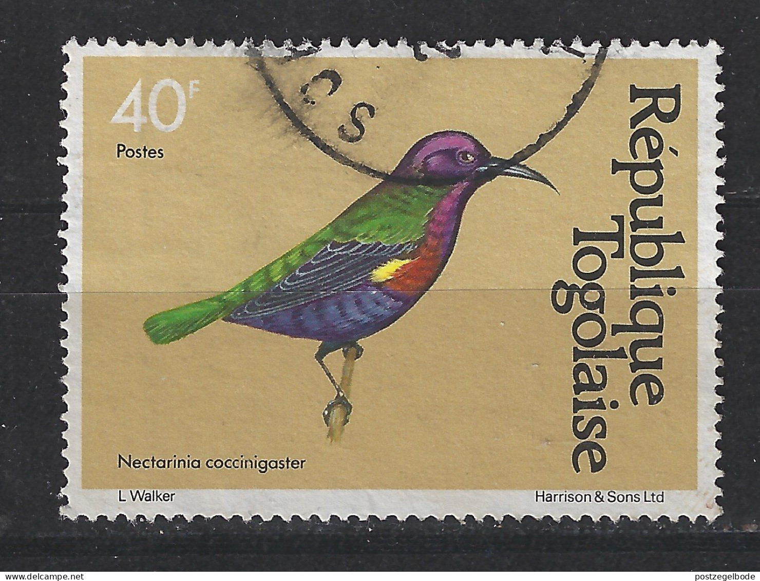 Togo Togolaise Used ; Kolibri Honeybird Colibri Sunbird Vogel Oiseau Ave Vogel Bird - Colibris