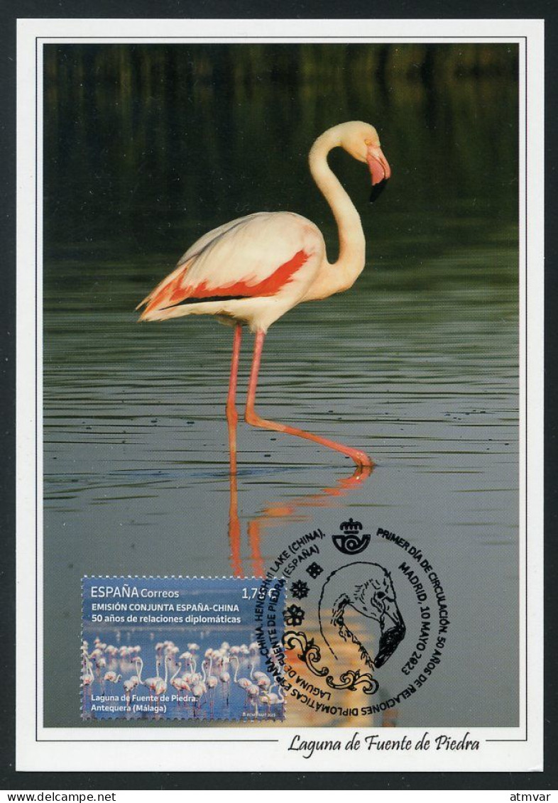 ESPAÑA (2023) Carte Maximum Card - Emisión Conjunta - Joint Issue China Flamingo Flamenco Flamant Phoenicopterus Roseus - Tarjetas Máxima