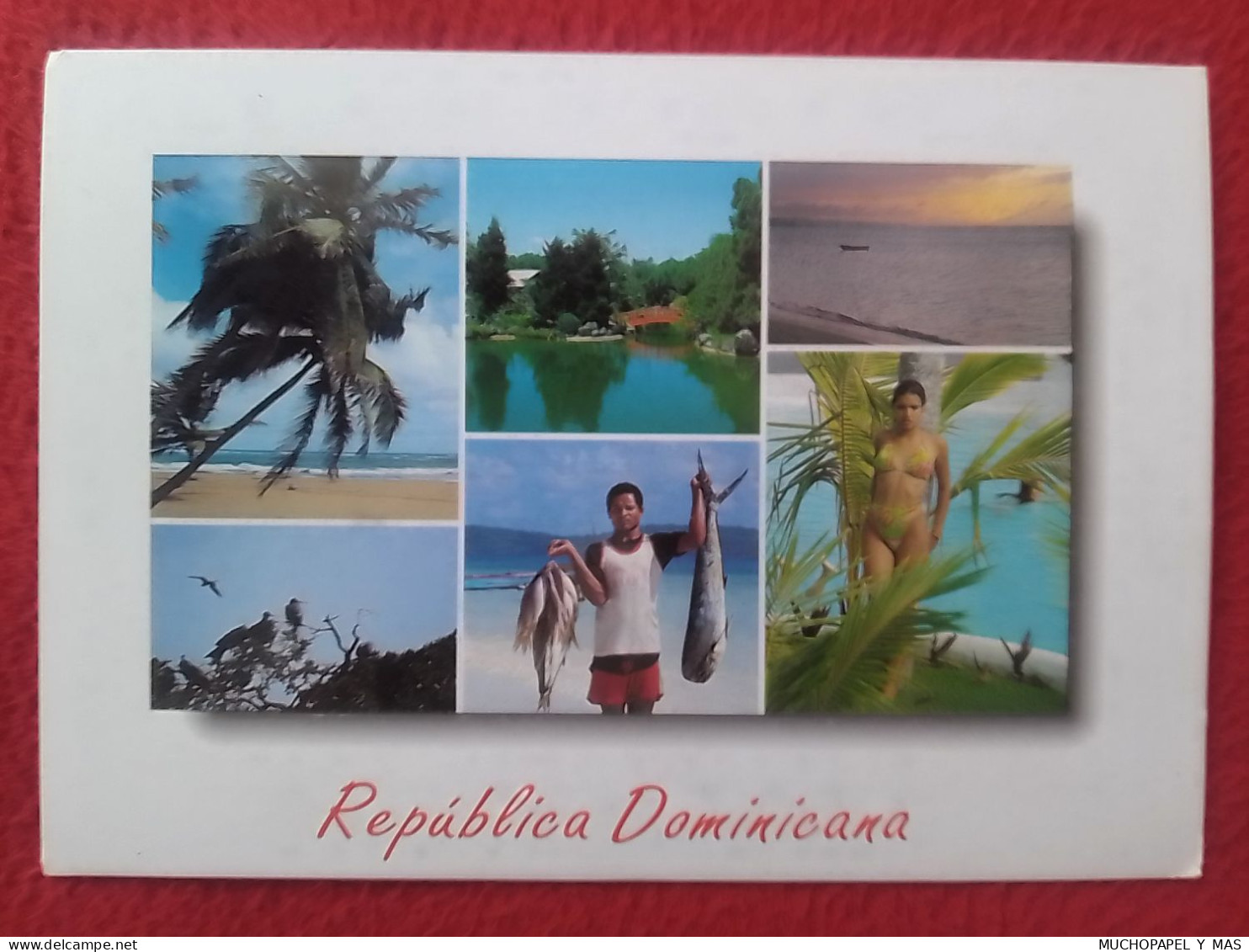 TARJETA POSTAL POST CARD POSTKARTE CARTE POSTALE REPÚBLICA DOMINICANA DOMINICAN REPUBLIC PESCADOR FISHERMAN MUJER GIRL.. - Repubblica Dominicana