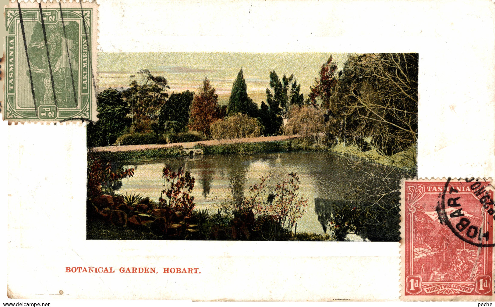 N°103663 -cpa Botanical Garden Hobart -Tasmanie- - Hobart