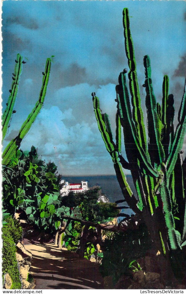 MONACO - Jardin Exotique De Monaco - La Cathédrale De Monaco Vue à Travers Les Opuntia Et Les.. - Carte Postale Ancienne - Jardin Exotique