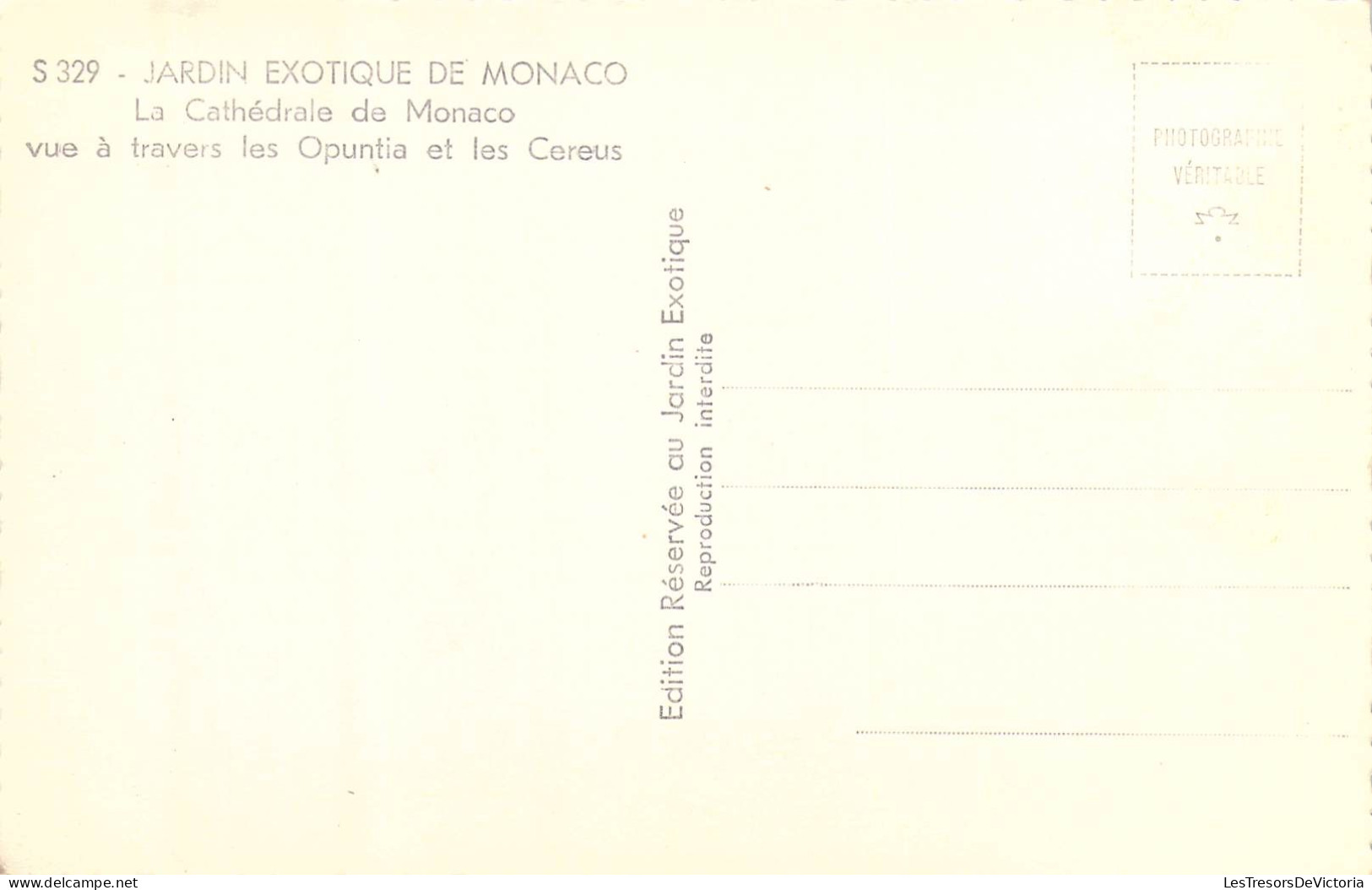 MONACO - Jardin Exotique De Monaco - La Cathédrale De Monaco Vue à Travers Les Opuntia Et Les.. - Carte Postale Ancienne - Jardin Exotique