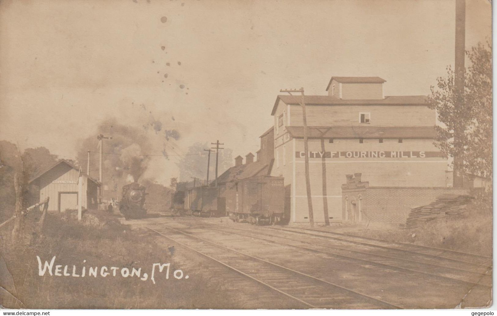 WELLINGTON - Un Train Passant Devant La Gare Et Les Moulins à Farine De La Ville " City Flouring Mills "( Carte Photo ) - Altri & Non Classificati