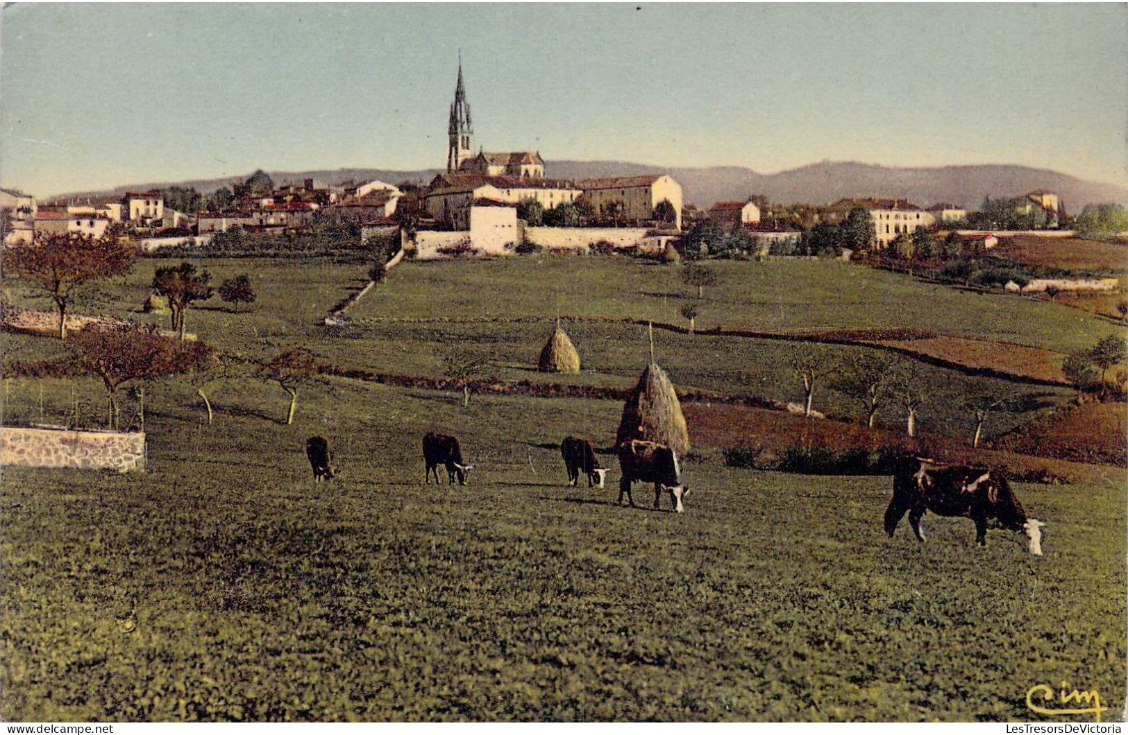 FRANCE - 07 - Vernoux - Vue Générale - Carte Postale Ancienne - Vernoux