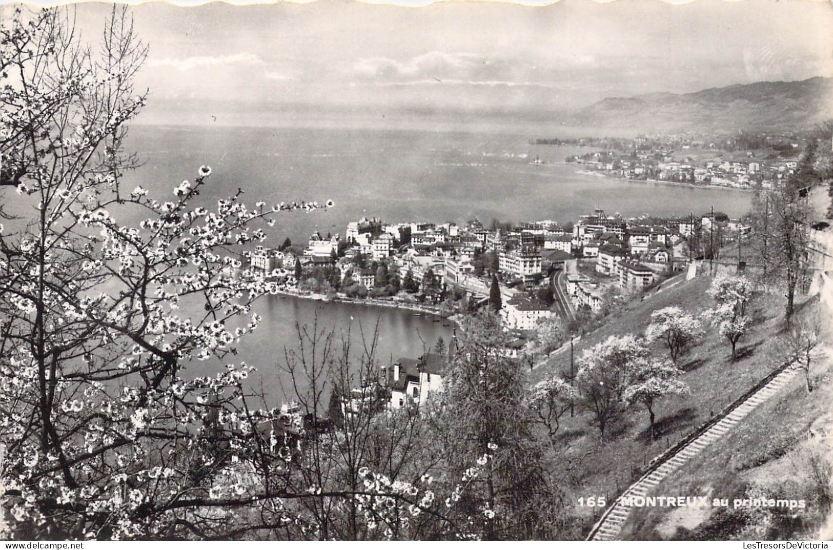 SUISSE - Montreux Au Printemps - Carte Postale Ancienne - Montreux