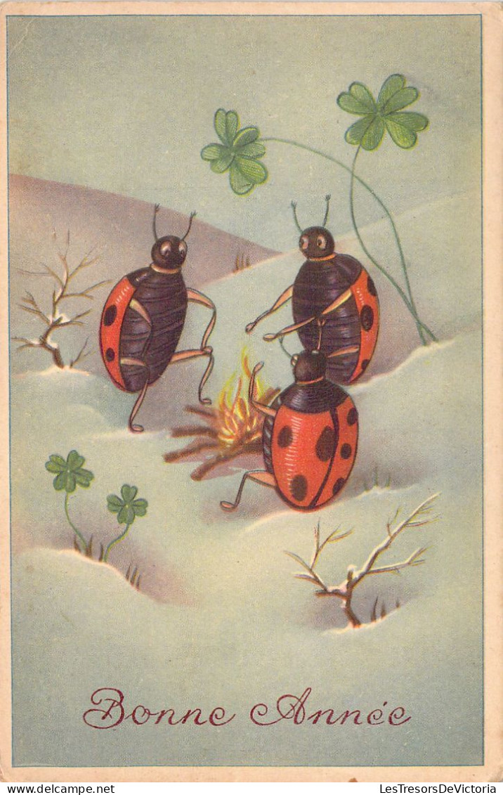 Illustration - Coccinelles Autour Du Feu De Bois - Carte Postale Ancienne - Insetti