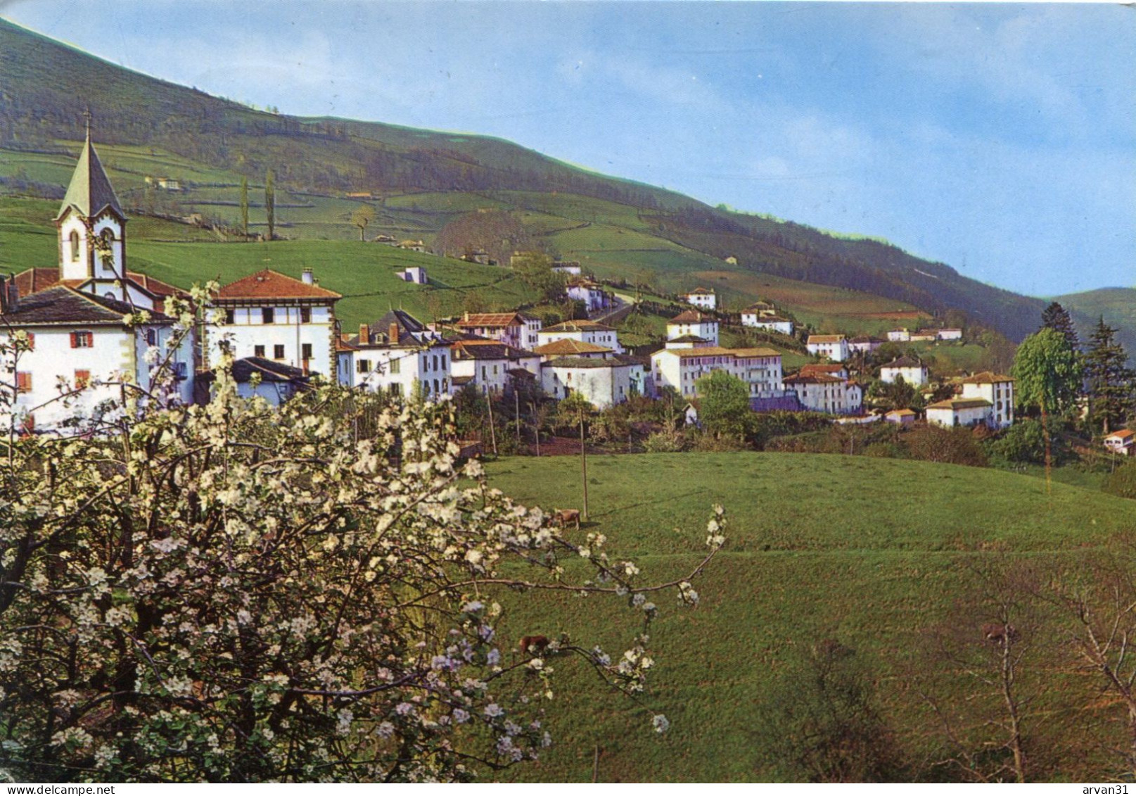 VALCARLOS - VISTA PANORAMICA - - Navarra (Pamplona)