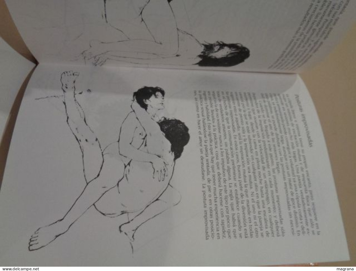 El Goce de Amar. The joy of sex. Guía ilustrada del amor. Dr. Alex Comfort. Editorial circulo de lectores. 1991. 256 pp.