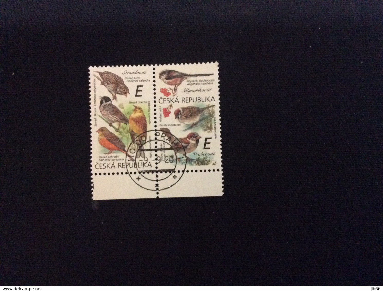 2020 : Paire Yvert 954/955 Oblitéré  Oiseaux Chanteurs E Passereau Eu Moineau Bruant - Used Stamps