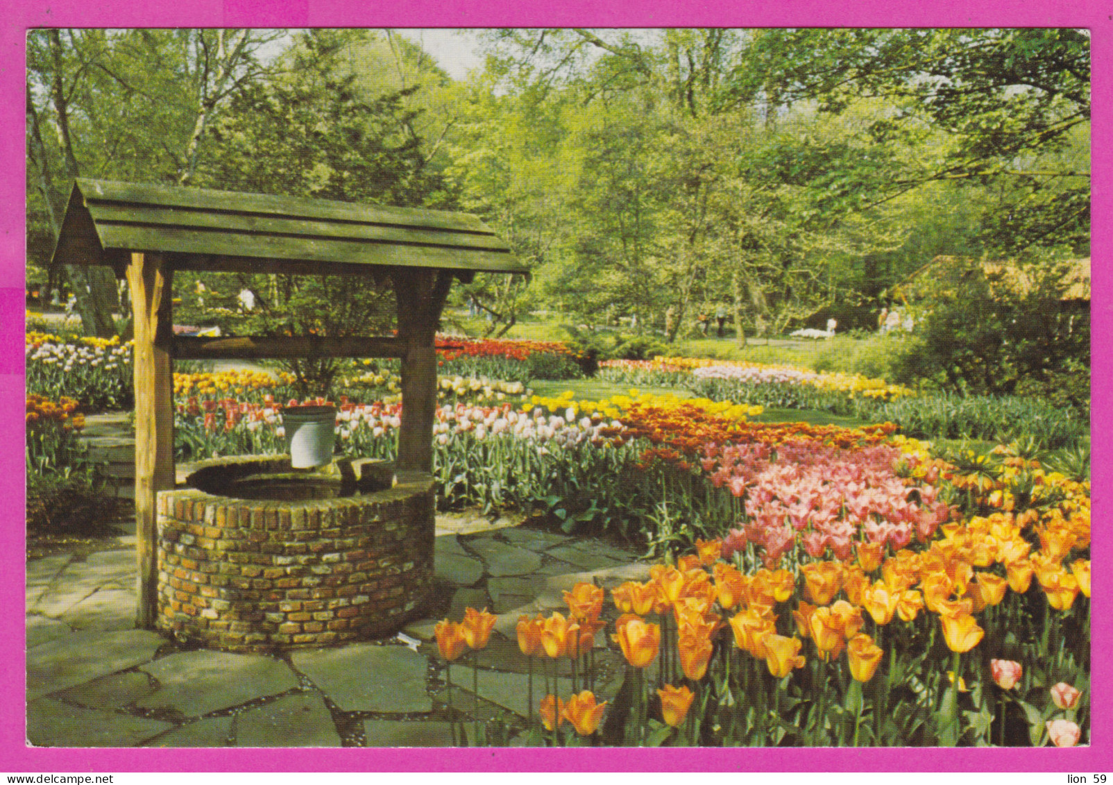 292258 / Netherlands "Keukenhof" Lisse Holland Garden Well PC Used (*) Haarlem1984 - 50c Numeral Flamme Postcode - Lisse