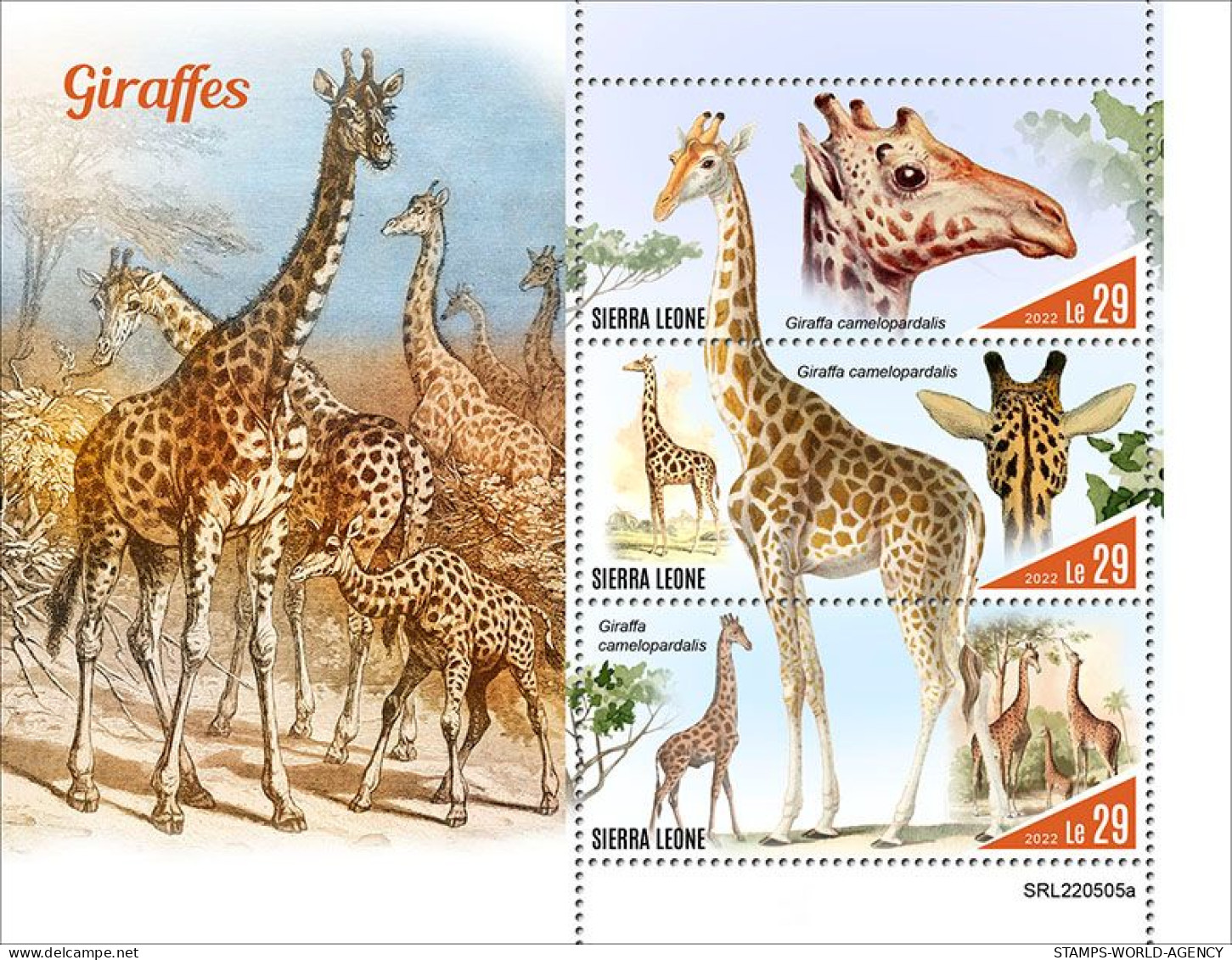 2022-10 - SIERRA LEONE- GIRAFFES        3V    MNH** - Giraffes