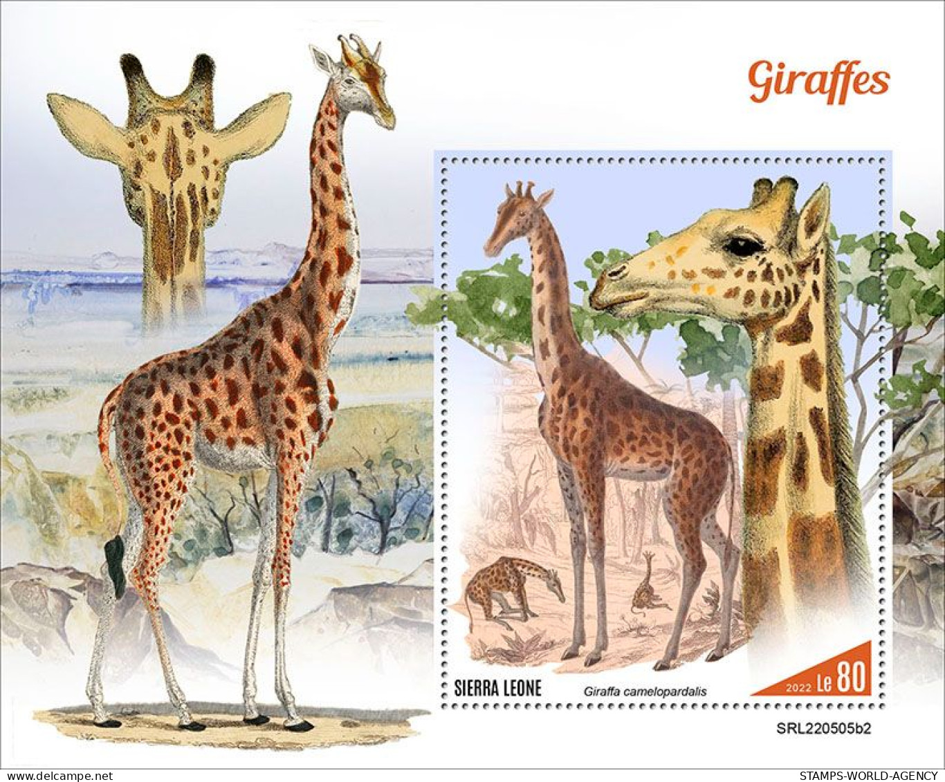 2022-10 - SIERRA LEONE- GIRAFFES II       1V    MNH** - Giraffes