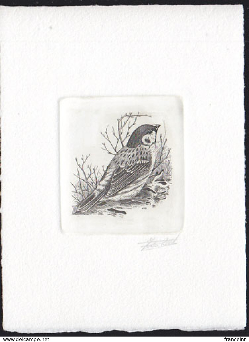 BELGIUM(1989) Eurasian Tree Sparrow (Passer Montanus). Die Proof In Black Signed By The Engraver. Scott No 1218. - Proeven & Herdruk