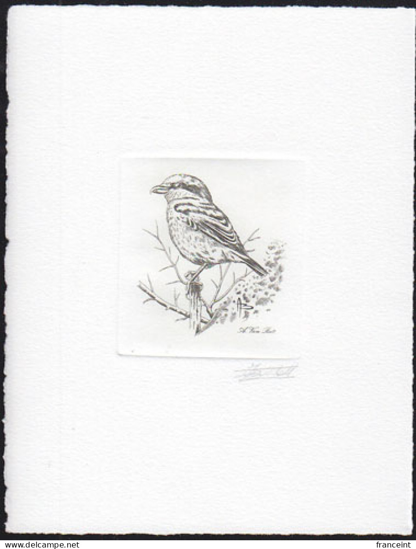 BELGIUM(2001) Great Grey Shrike (Lanius Excubitor). Die Proof In Black Signed By The Engraver. Scott No 1837. - Proofs & Reprints
