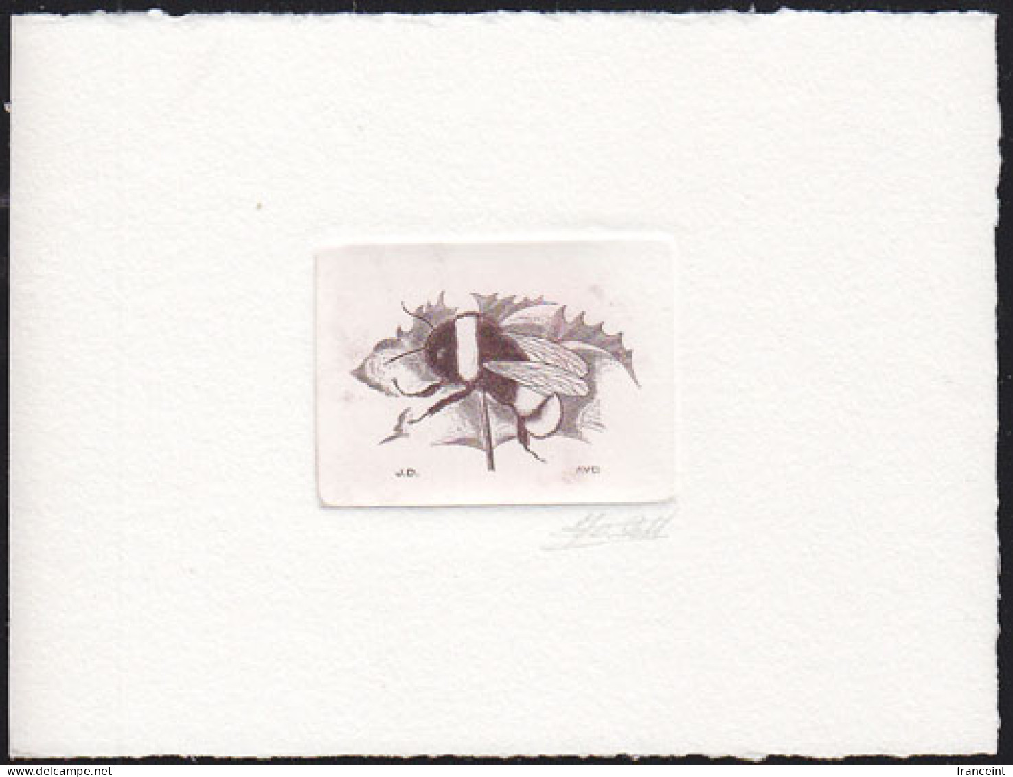 BELGIUM(1996) Buff-tailed Bumblebee (Bombus Terrestris). Die Proof In Black Signed By The Engraver. Scott No 1605. - Proofs & Reprints