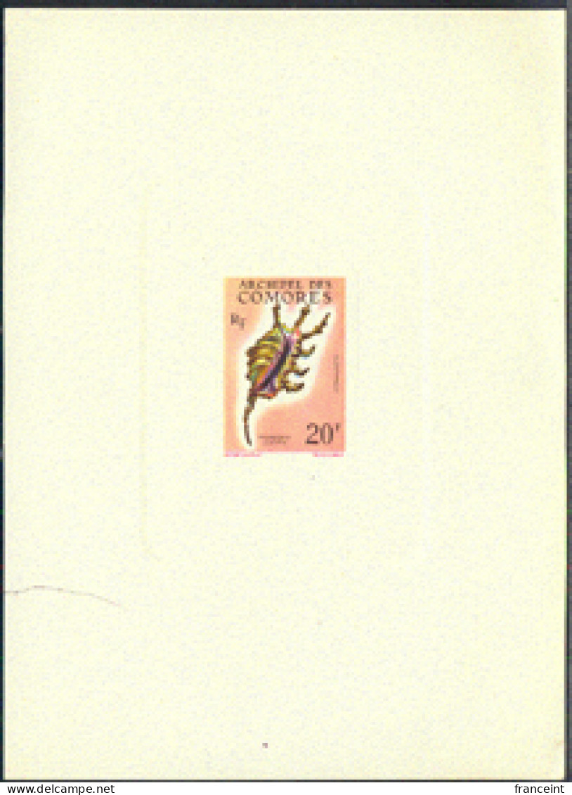 COMOROS(1962) Pterocera Scorpio. Deluxe Sheet. Scott No 52, Yvert No 23. - Autres & Non Classés