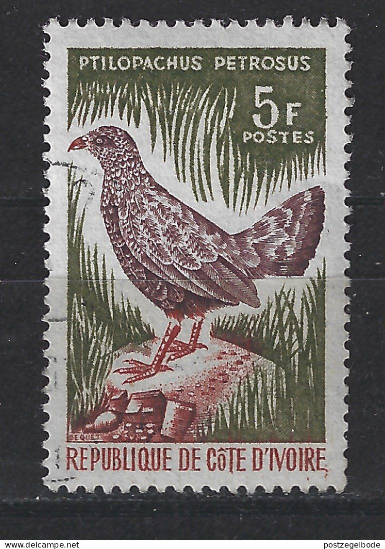 Ivoorkust Cote D Ívoire Used : Patrijs Partridge Perdrix Perdiz Rotspatrijs Vogel Bird Ave Oiseau - Grey Partridge