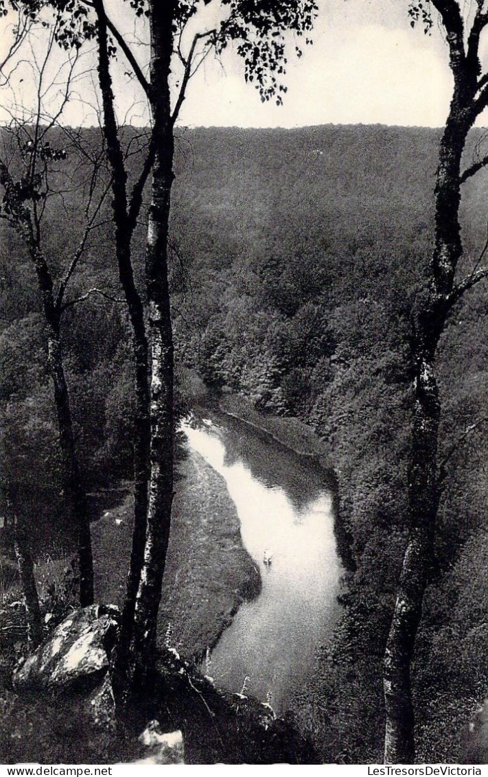 BELGIQUE - CHINY Sur SEMOIS - Vue Prise Du Rocher Du Mât - Carte Postale Ancienne - Chiny