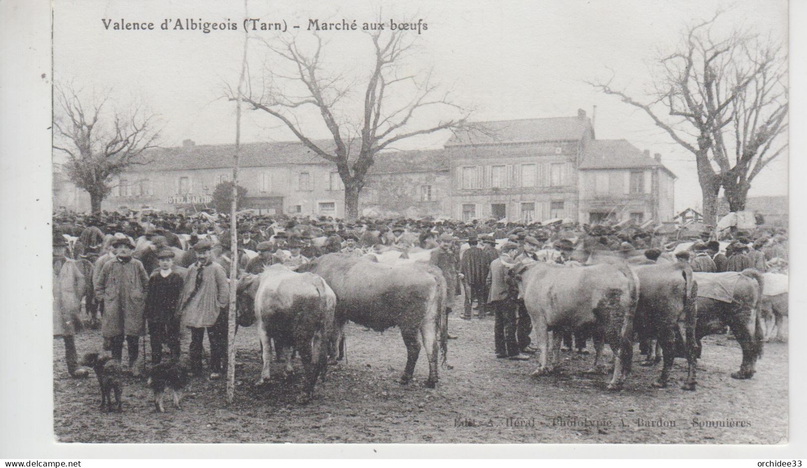 CPA Valence D'Albigeois - Marché Aux Boeufs (très Belle Scène) - Valence D'Albigeois