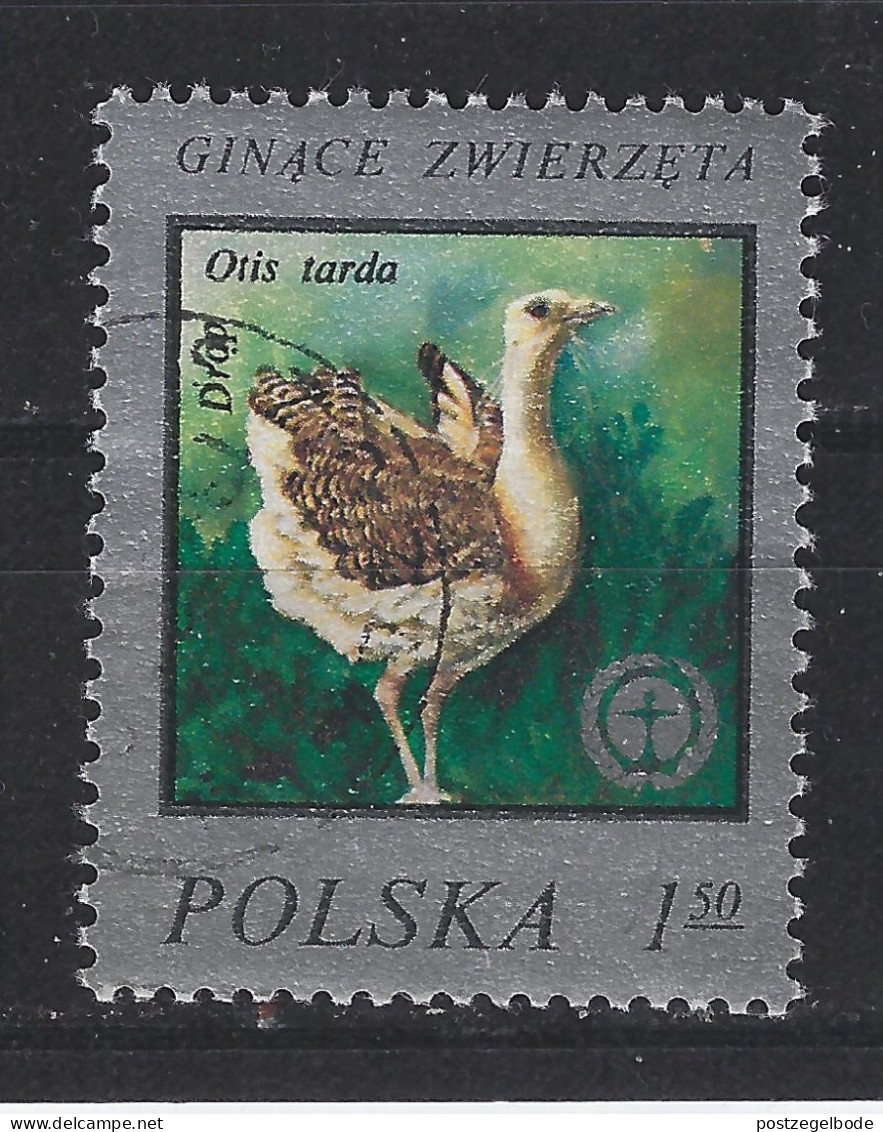 Polen Poland Pologne Polska Used ; Struisvogel Ostrich Autruche Avestruz Vogel Bird Ave Oiseau - Ostriches