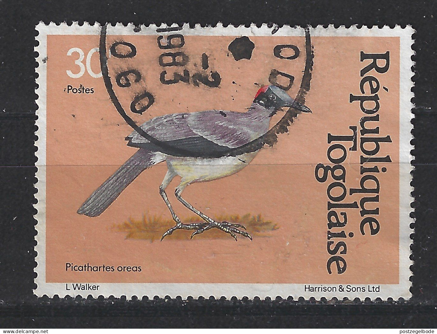 Togo Togolaise Used ; Kraai Kauw Crow Corbeau Cuervo Grijsnekkaalkopkraai Vogel Ave Bird Oiseau - Cuckoos & Turacos
