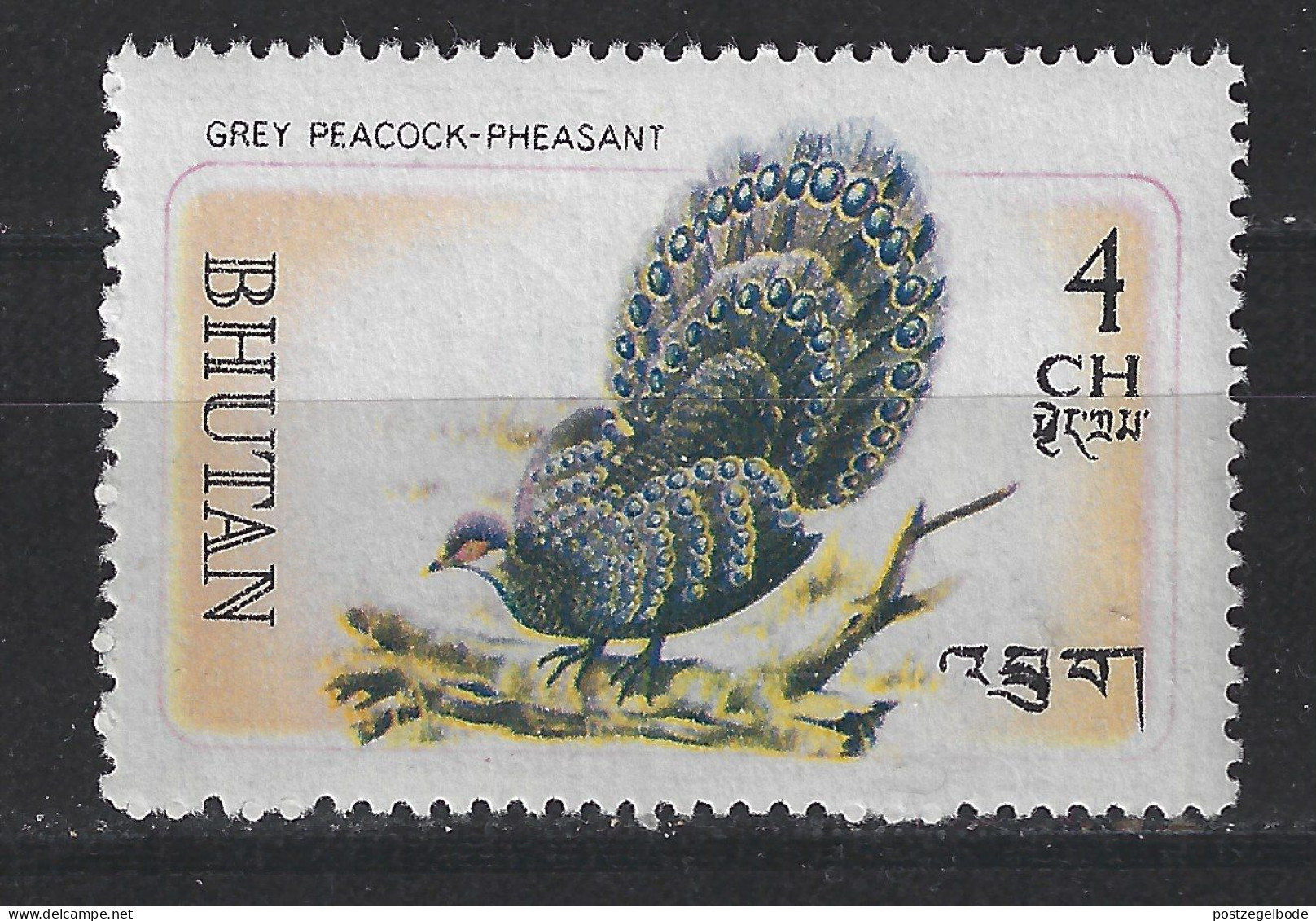 Bhutan Bhoetan MLH ; Pauw Grey Peacock Paon Peafowl Vogel Bird Ave Oiseau - Peacocks