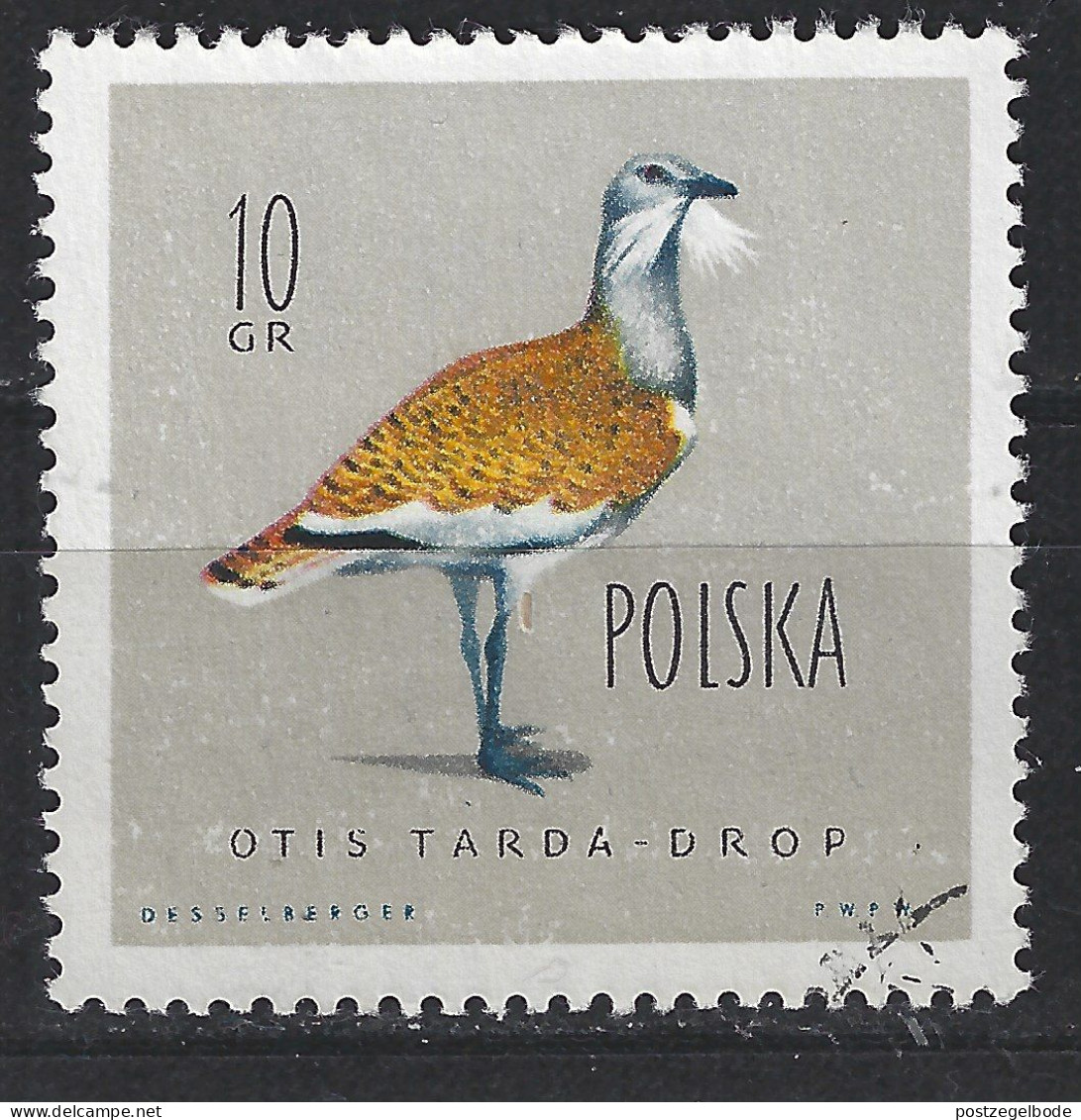 Polen Poland Pologne Polska Used ; Grote Trap Bustard Outarde Avutarda Vogel Bird Ave Oiseau - Straussen- Und Laufvögel