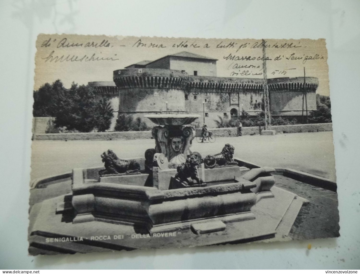 Cartolina Viaggiata  "SENIGALLIA Rocca Dei Della Rovere" 1955 - Senigallia