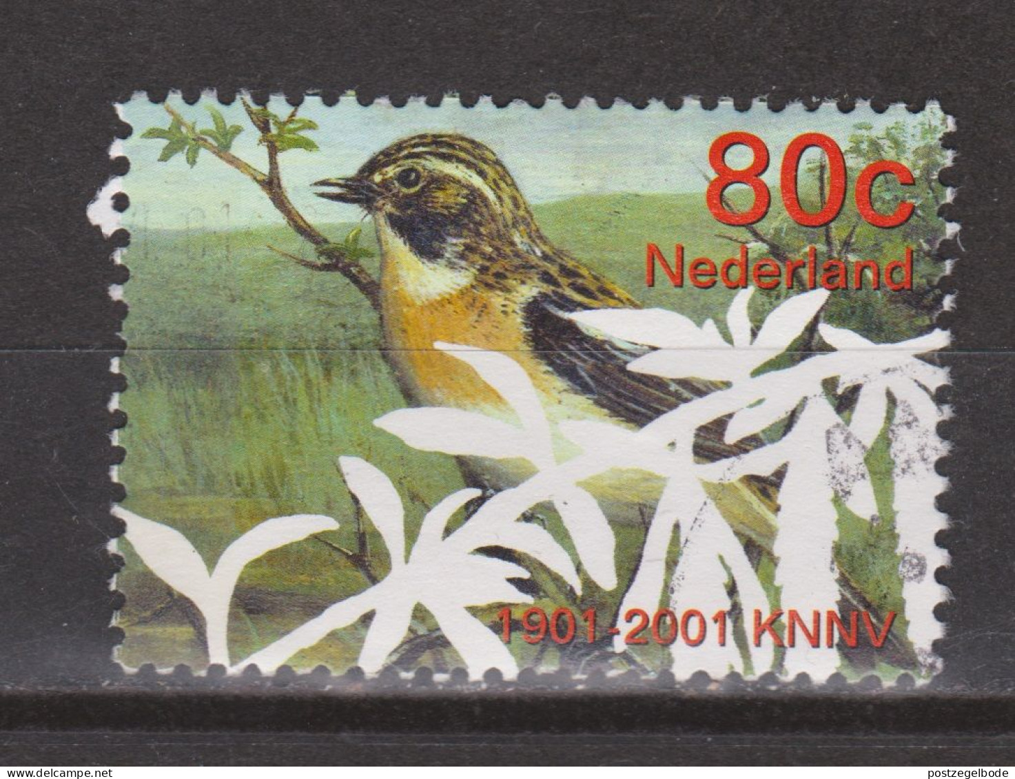 Nederland Netherlands Pays Bas Holanda Niederlande Used : Paapje Whinchat Traquet Tarier Tarabilla Vogel Bird Ave Oiseau - Sparrows