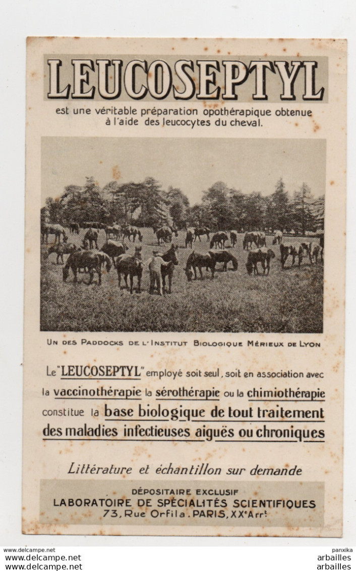 Préoblitéré Sur Carton Illustré. Leucoseptyl Pour Linxe.Illust: Paddocks Institut Merieux A Lyon. - Other & Unclassified