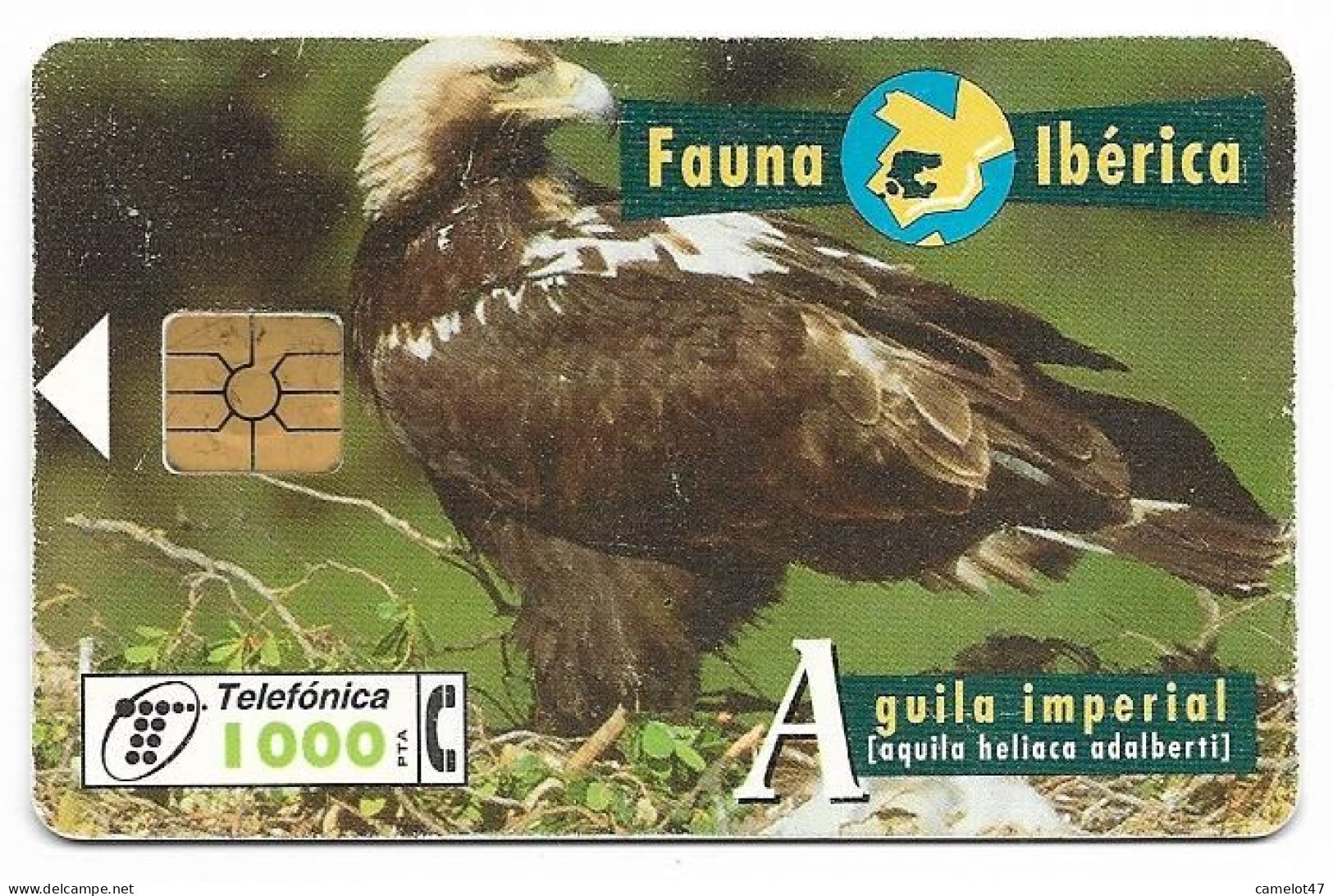 Spain Fauna Ibérica, ÁGUILA IMPERIAL, Used Chip Phone Card # B-050  Shows Some Wear - Águilas & Aves De Presa