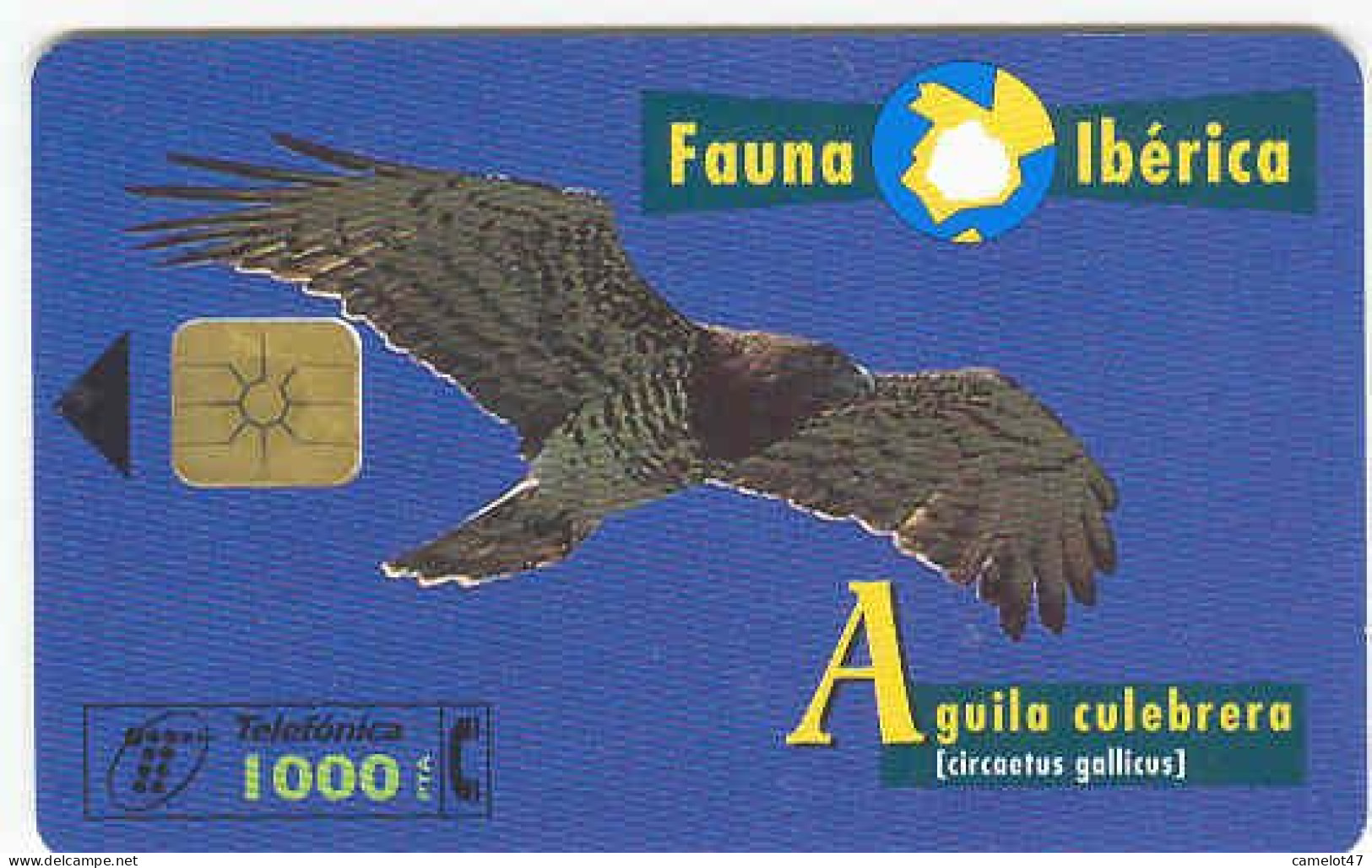 Spain Fauna Ibérica ÁGUILA CULEBRERA, Usada, Perfecto Estado # B-073 - Aigles & Rapaces Diurnes