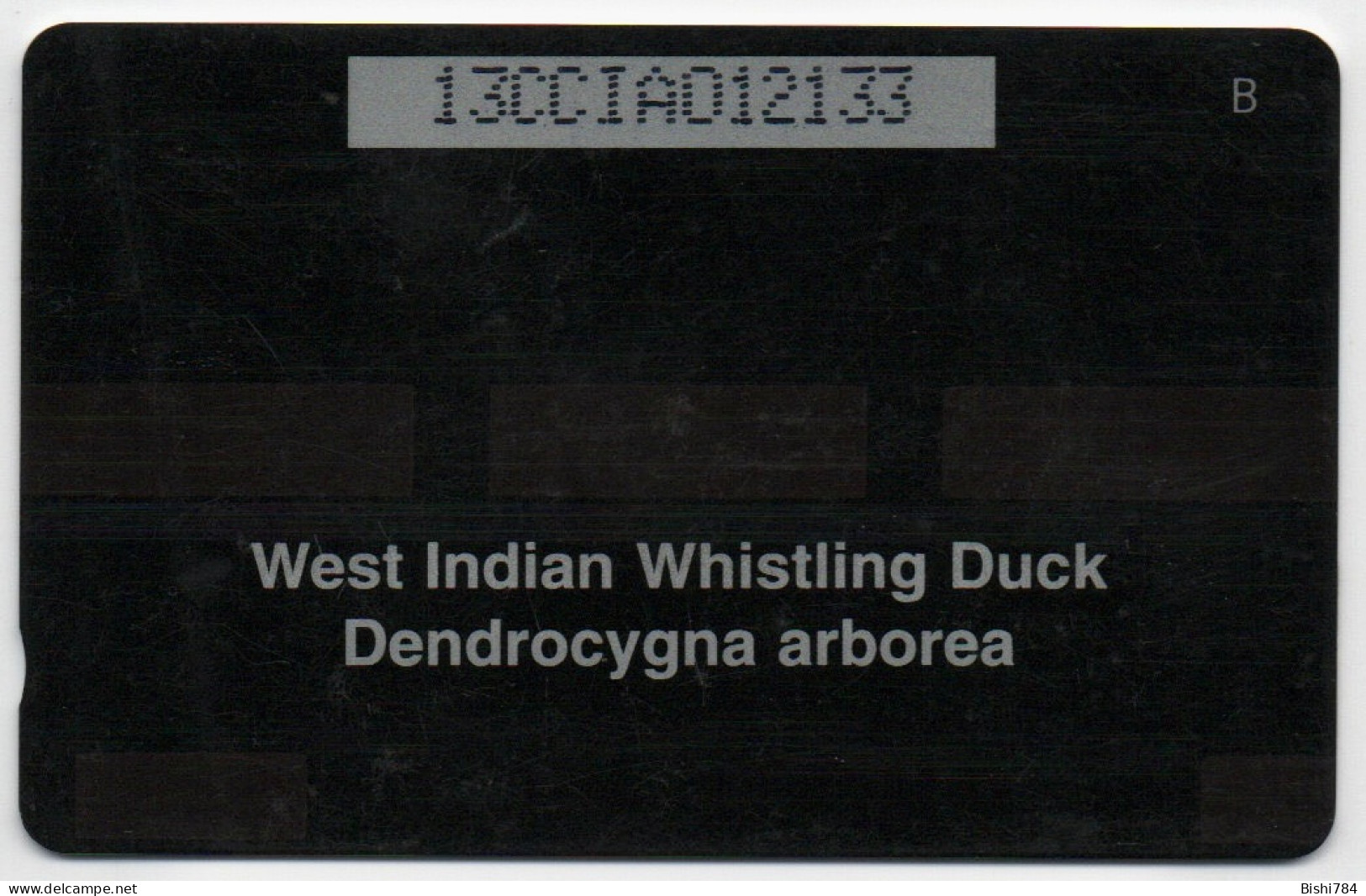 Cayman Islands - Whistling Ducks - 13CCIA - Kaimaninseln (Cayman I.)