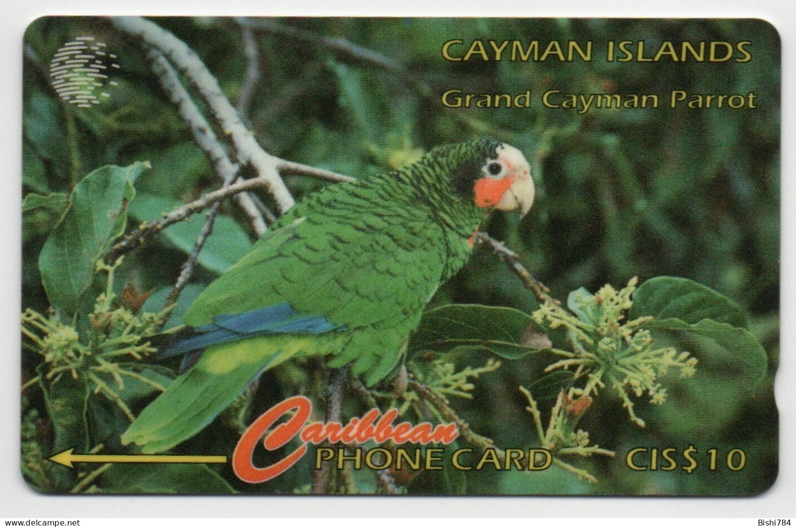 Cayman Islands - Parrot - 11CCIB - Kaaimaneilanden