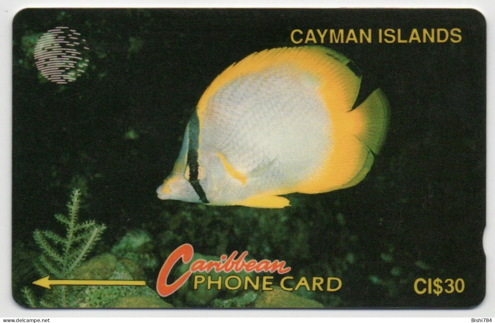 Cayman Islands - Yellow Fish - 5CCIB - Kaaimaneilanden
