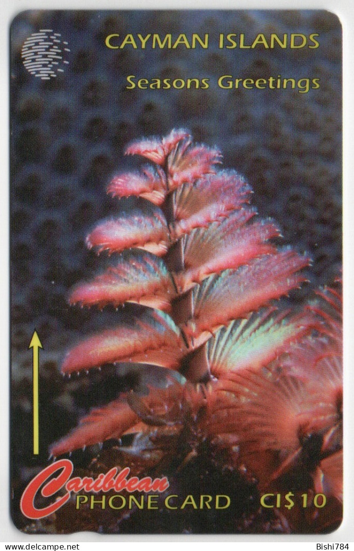 Cayman Islands - Xmas Tree Worm - 47CCIA (with Ø) - Cayman Islands