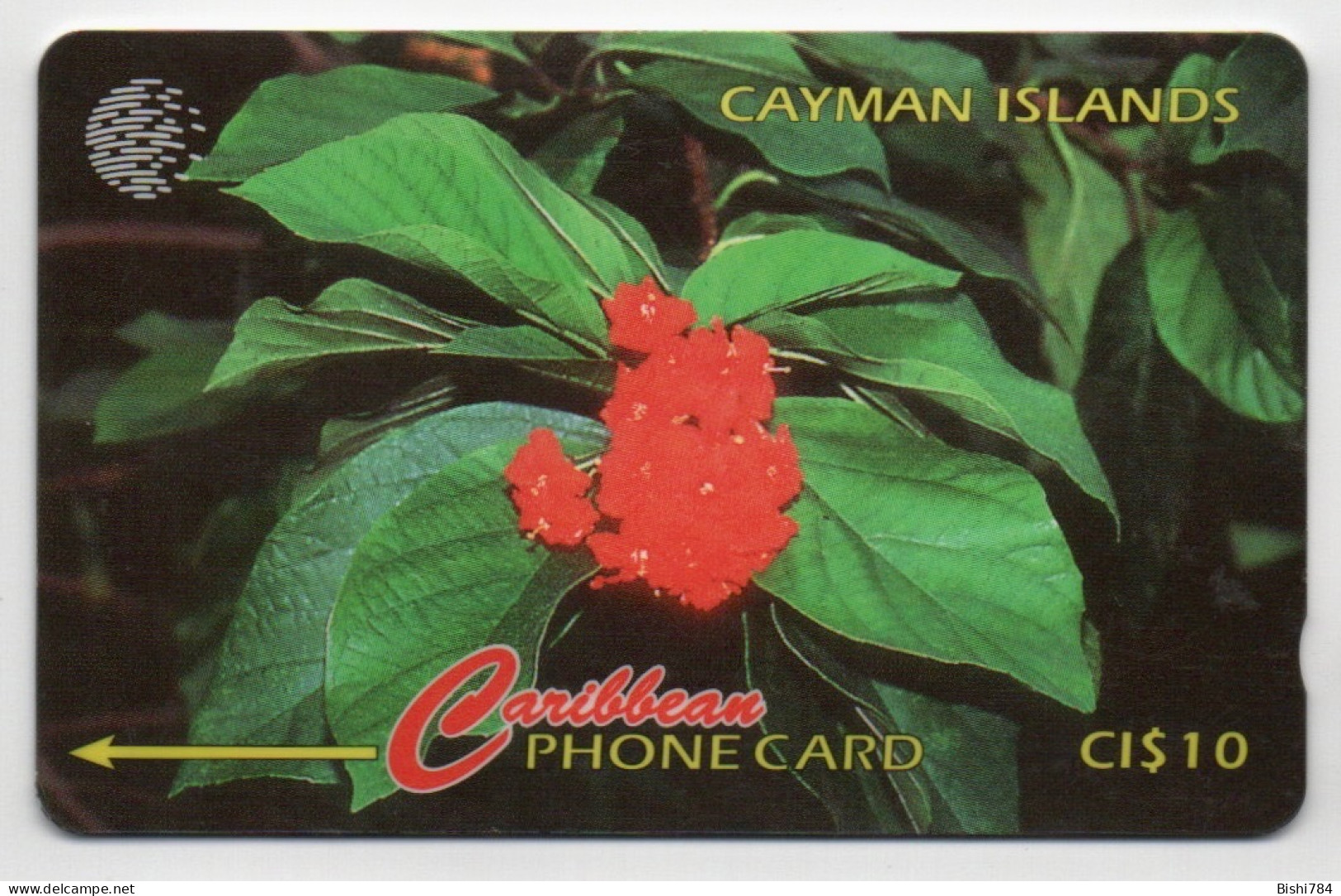 Cayman Islands - Broadleaf Flower - 94CCIB (small, Curved Font) - Iles Cayman