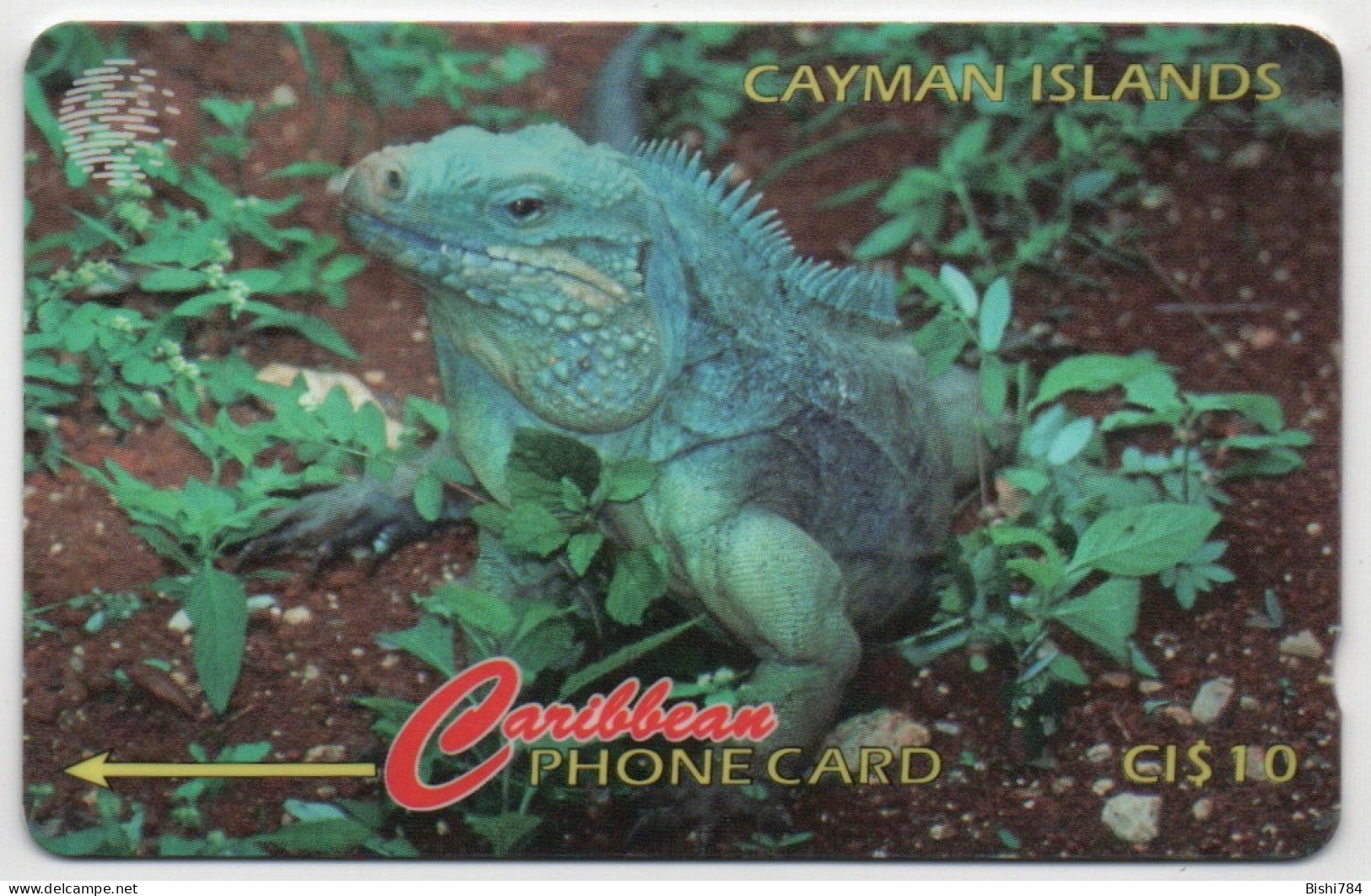 Cayman Islands - Iguana - 13CCIB - Islas Caimán