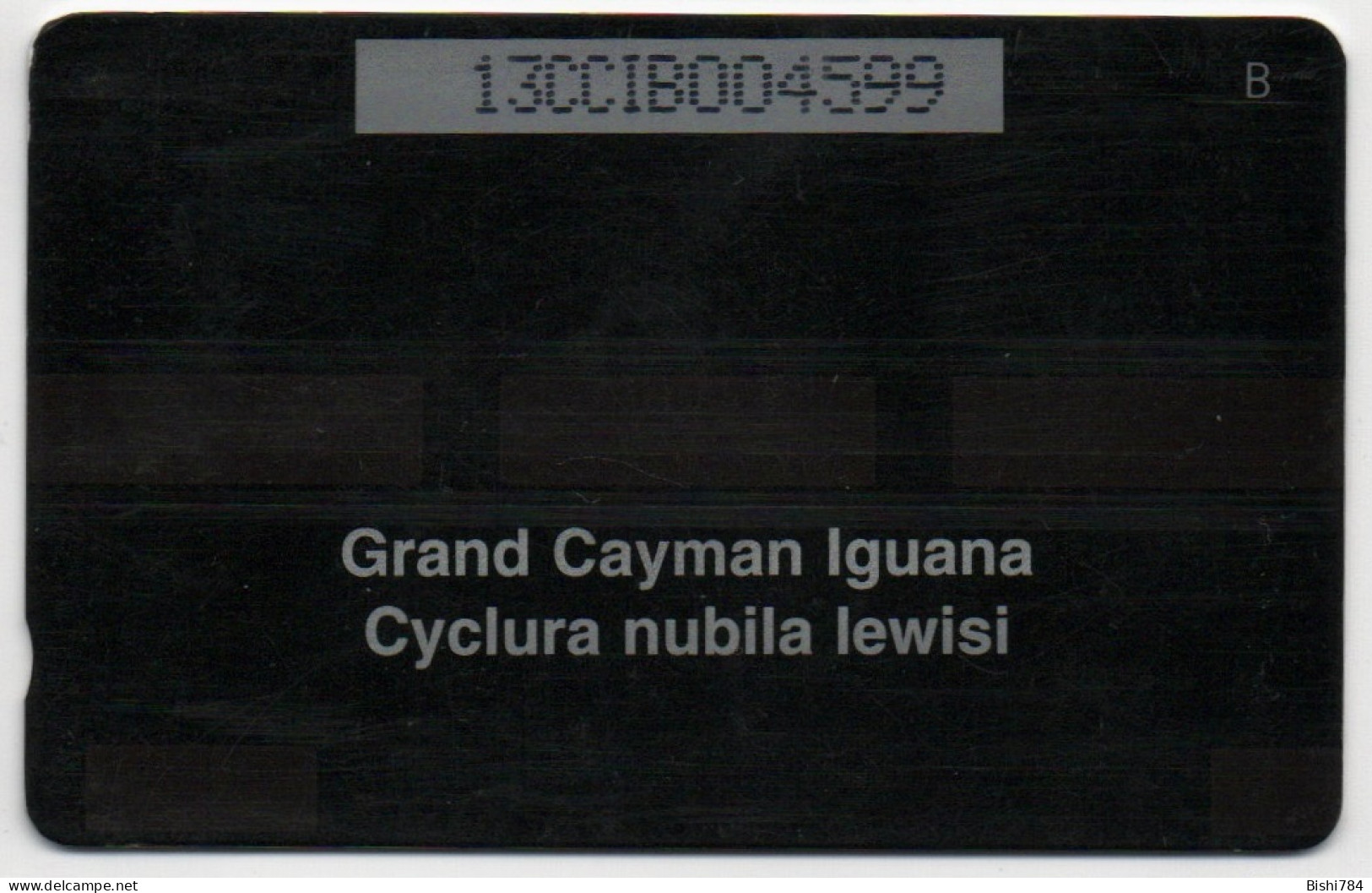 Cayman Islands - Iguana - 13CCIB - Iles Cayman