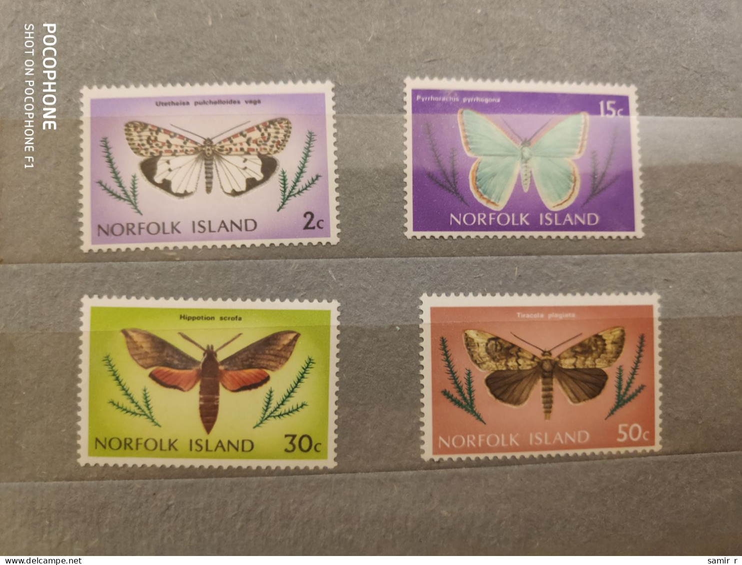 Norfolk Butterflies (F7) - Sonstige - Ozeanien