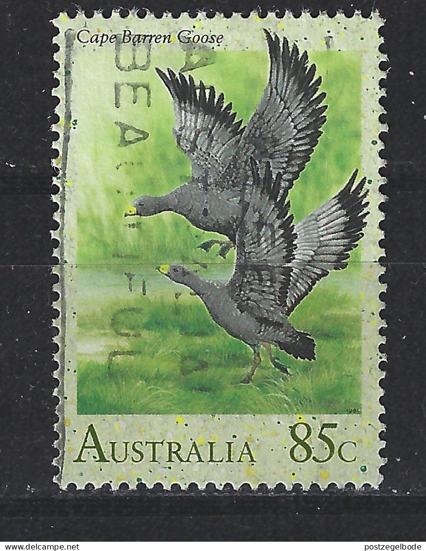 Australie Australia Used ; Gans Cape Barren Goose Oie Ganso Vogel Bird Ave Oiseau - Gänsevögel