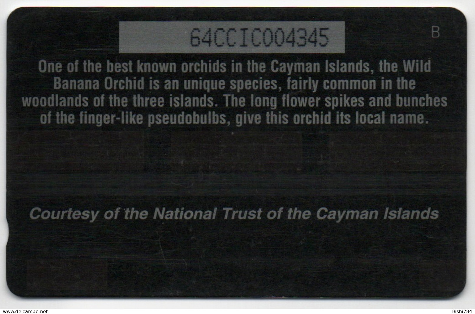 Cayman Islands - Orchids - 64CCIC - Kaimaninseln (Cayman I.)