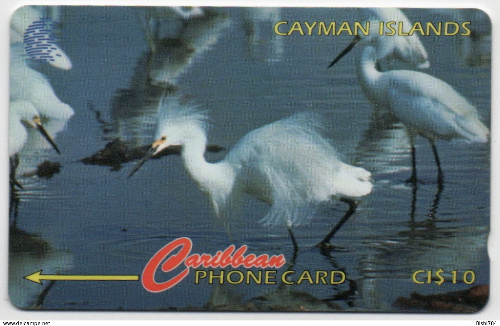 Cayman Islands - Snowy Egret - 13CCIC - Kaaimaneilanden