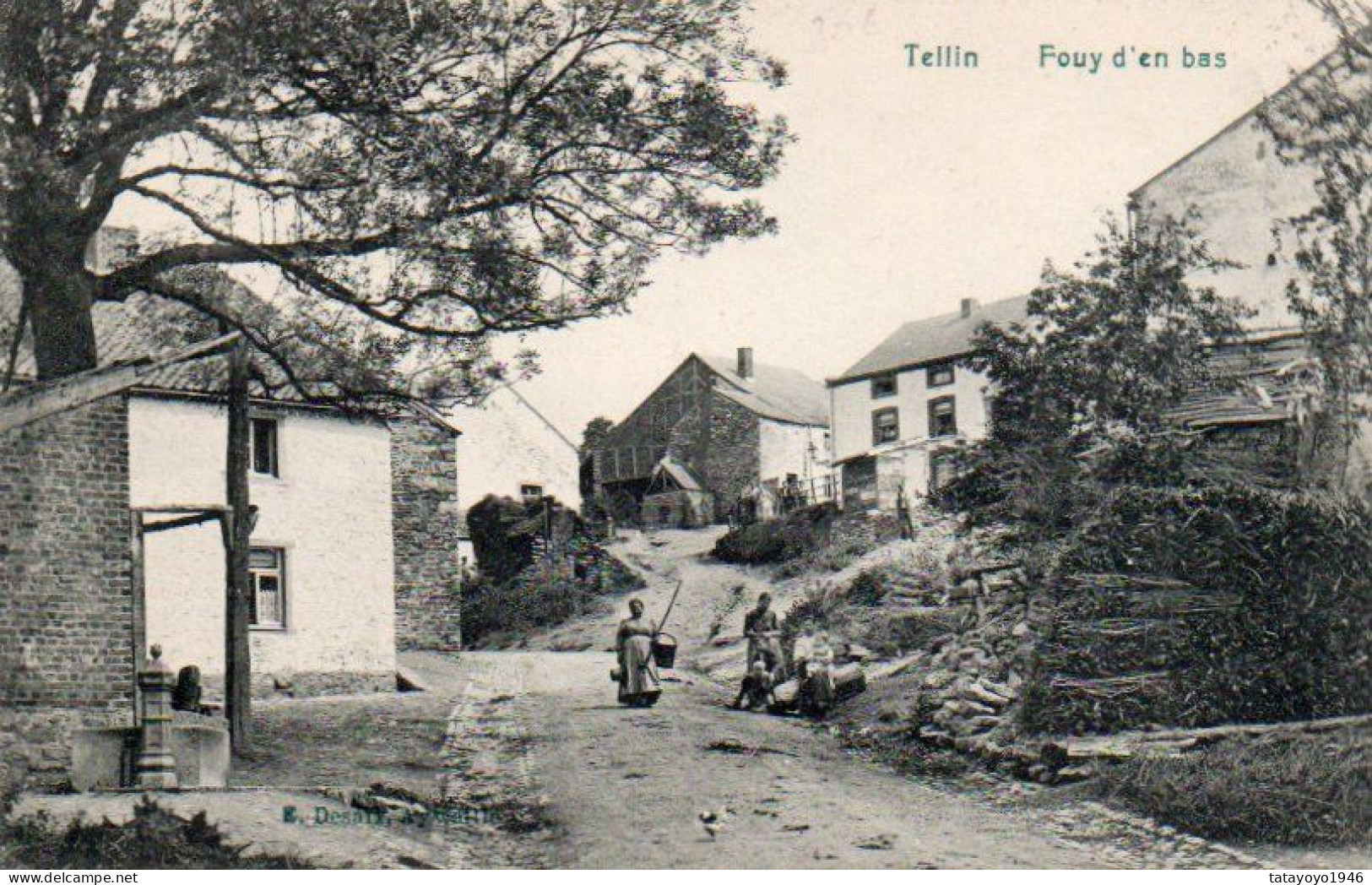 Tellin  Fouy  D'en Bas Animée N'a Pas Circulé - Tellin