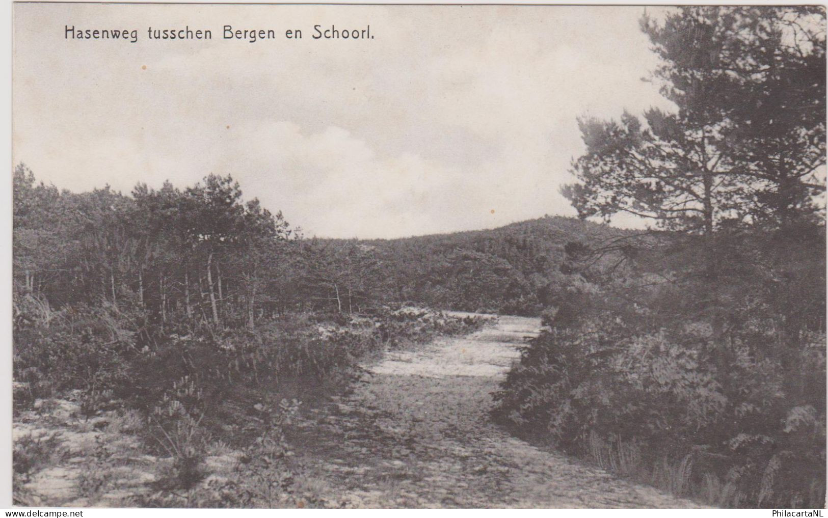 Bergen NH En Schoorl - Hasenweg - Zeer Oud - Schoorl