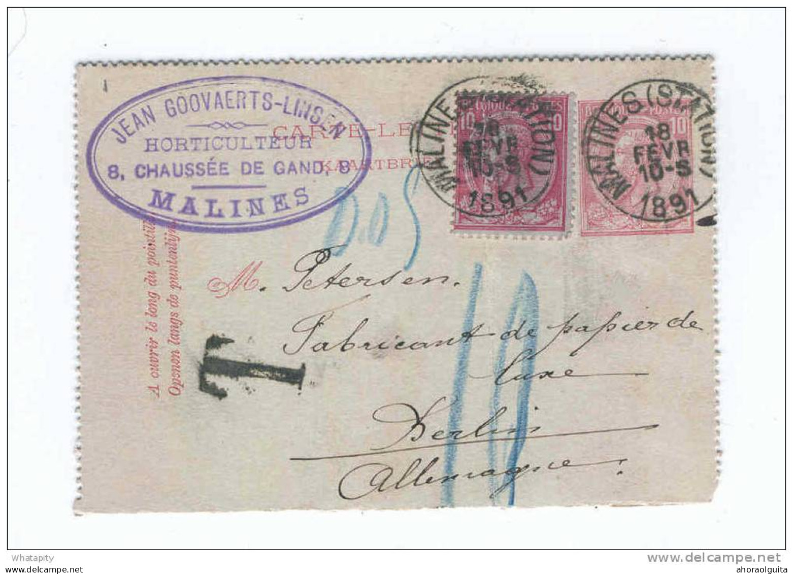 Carte-Lettre Type TP 46 + TP 46 Simple Cercle MALINES 1891 Vers Allemagne - Taxée 10 Pfg  --  B7/274 - Letter-Cards