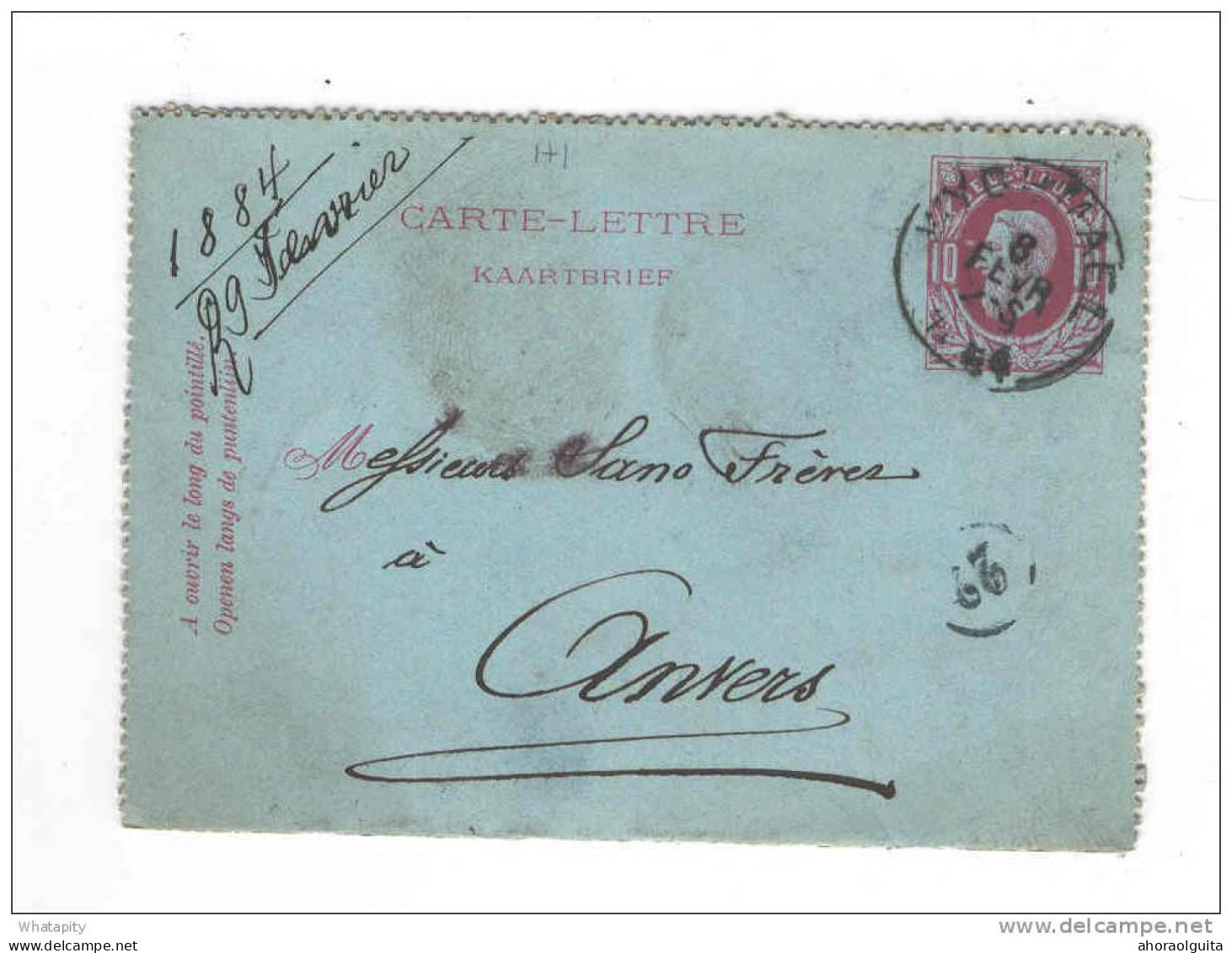Carte-Lettre Type TP 30 Simple Cercle WYCHMAEL 1884 Vers Anvers - Origine HECHTEL  -- B7/263 - Cartes-lettres