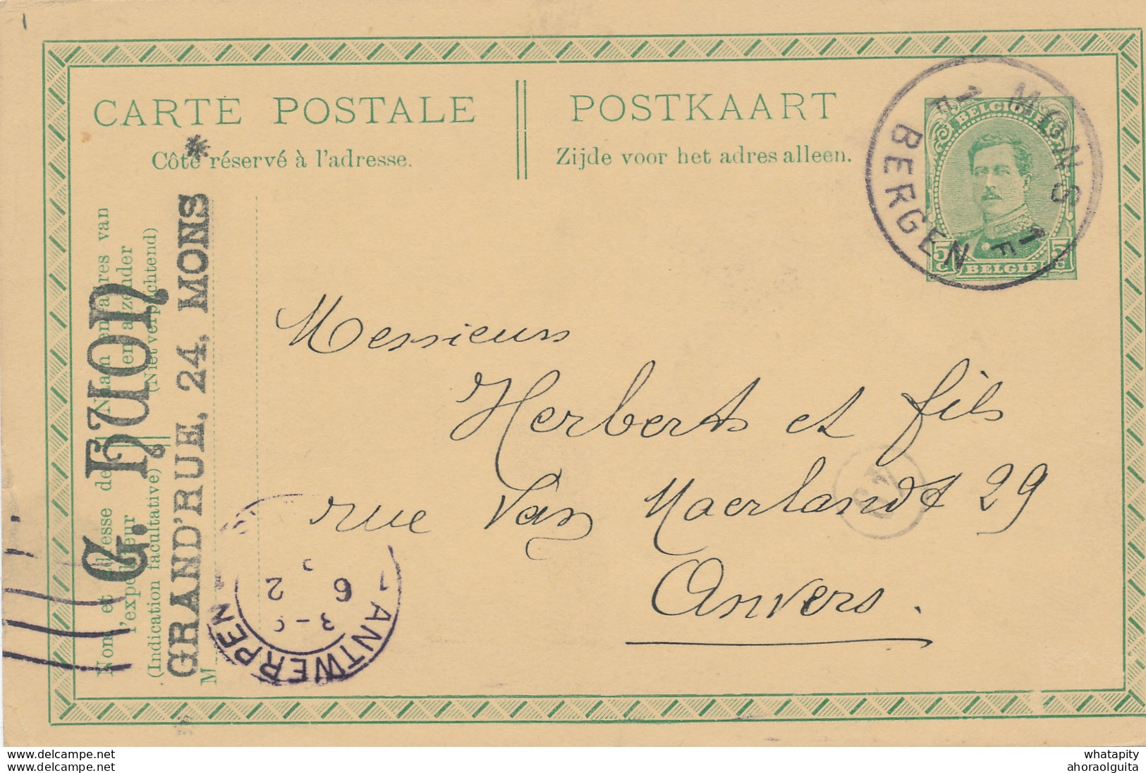 555/27 -  Entier Petit Albert Cachet De FORTUNE Centre Vide MONS Vers RONSE 1919 - Fortune (1919)