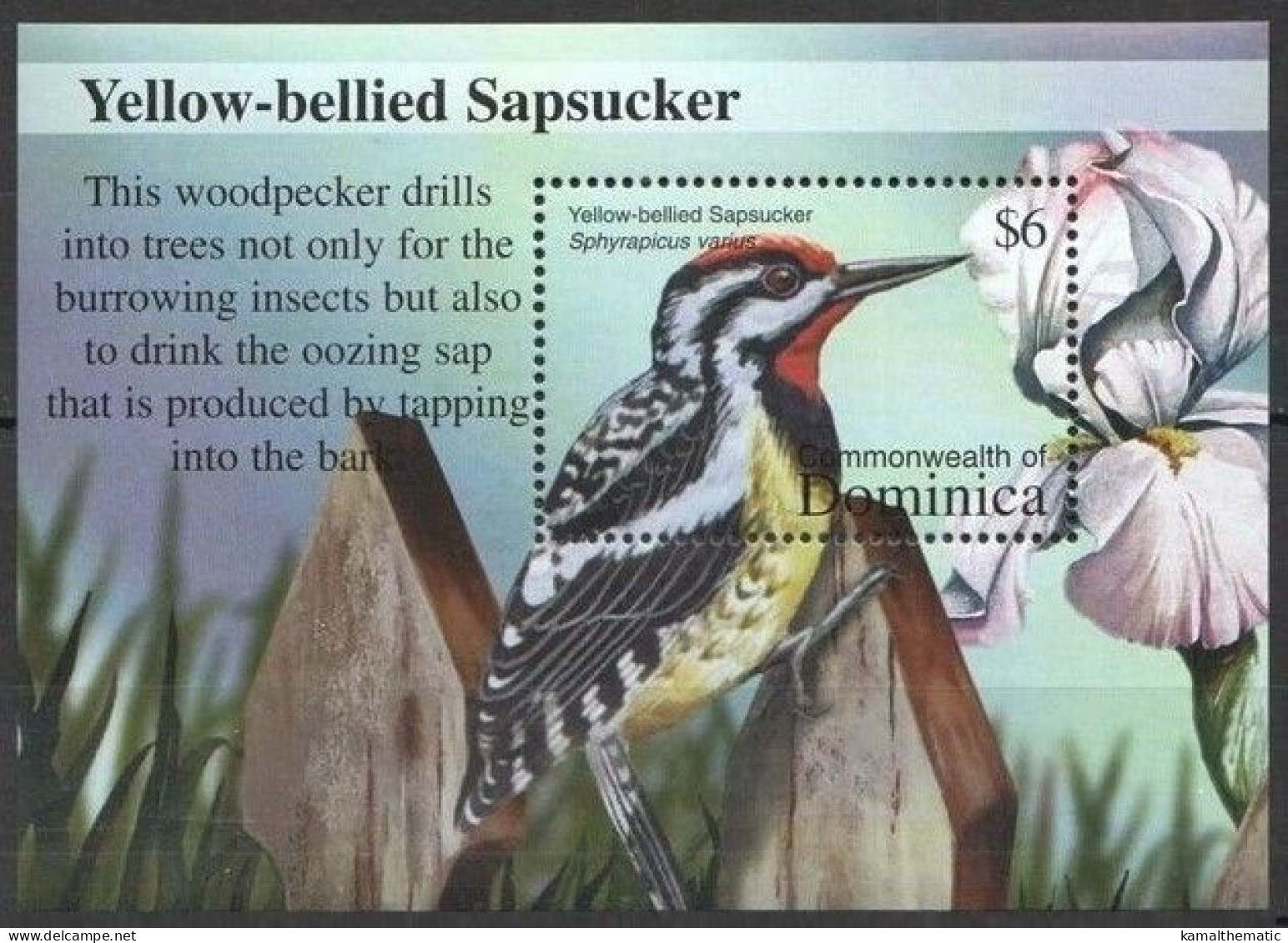 Dominica 2002 MNH MS, 2002, Yellow-Bellied Sapsucker, Woodpecker, Birds - Cuckoos & Turacos